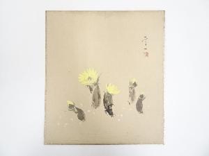 奥村厚一筆　福寿草図　肉筆色紙